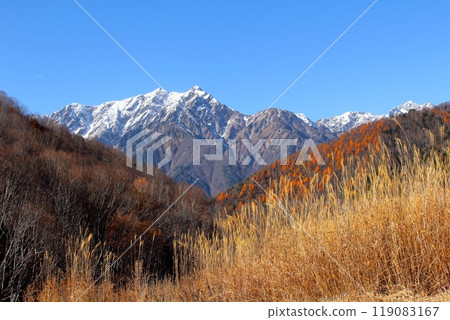 Northern Alps and Autumn Leaves - Nature of Shinshu 119083167