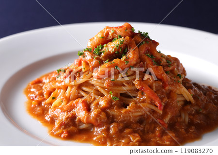 番茄醬義大利麵 119083270