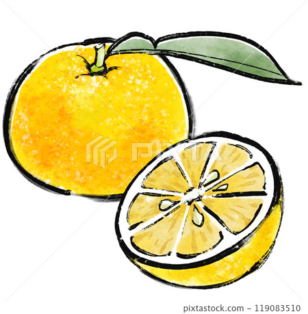 Ink-style Yuzu illustration 119083510