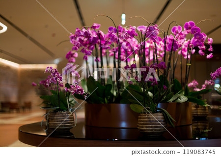Decorative purple orchid flower arrangement on a table. Depth of field and blur is done intentionally Decorative purple orchid flower arrangement on a table. Depth of field and blur is done intentionally 119083745