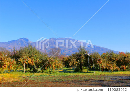 Mount Asama in November　Shinshu Mountains　Shinshu Nature 119083932