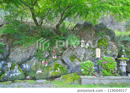 [Saigyo Water] Samegai, Maibara City, Shiga Prefecture 119084017