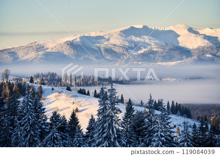 Breathtaking winter landscape featuring snow-capped mountains bathed in golden morning light. Snow-laden trees stand tall in foreground, while layers of mist gently veil valleys below. 119084039