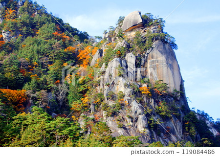 秋葉的散步 秋葉的散步 119084486