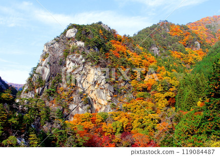 秋葉的散步 119084487