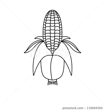 A corn stalk with a leafy green top 119084569