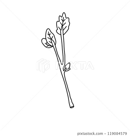 A leafy green plant with a stem that is bent at a 90 degree angle 119084579