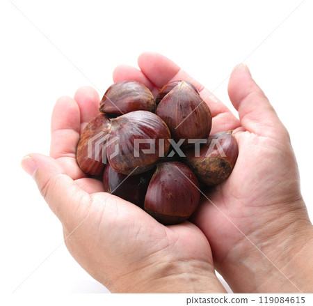 Chestnuts in the palm of the hand (holding chestnuts in the hand) on a white background 119084615