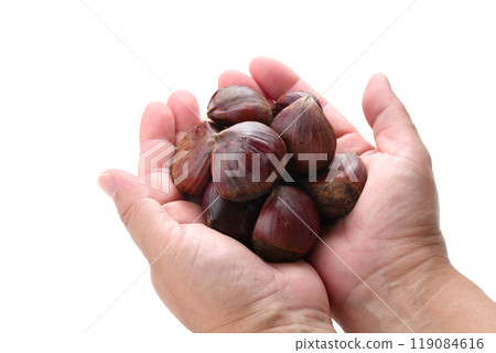 Chestnuts in the palm of the hand (holding chestnuts in the hand) on a white background 119084616