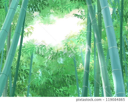 有陽光的竹林 119084865