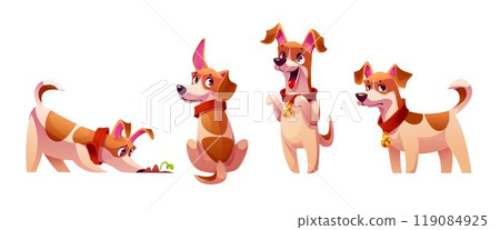 Cute funny little dog behavior. 119084925