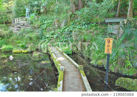 [Izamenoshimizu] Samegai, Maibara City, Shiga Prefecture 119085068