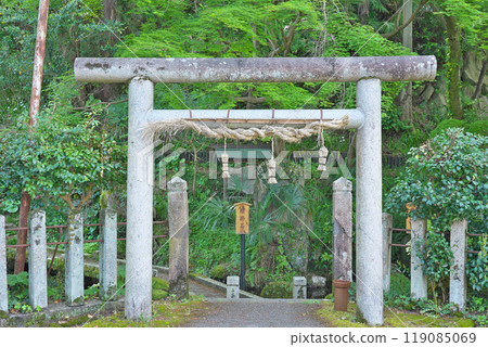 [Izamenoshimizu] Samegai, Maibara City, Shiga Prefecture 119085069