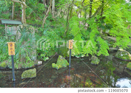 [Izamenoshimizu] Samegai, Maibara City, Shiga Prefecture 119085070