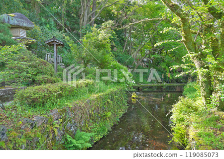 [Izamenoshimizu] Samegai, Maibara City, Shiga Prefecture 119085073