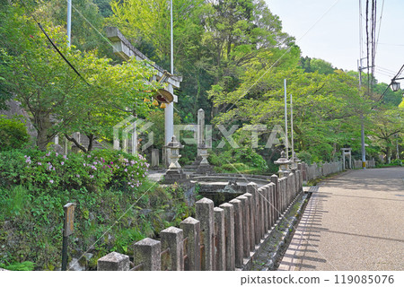 [Izamenoshimizu] Samegai, Maibara City, Shiga Prefecture 119085076