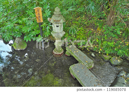 [Izamenoshimizu] Samegai, Maibara City, Shiga Prefecture 119085078