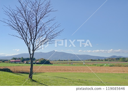 View from a roadside station near Lake Toya 119085646