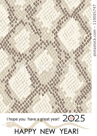2025 Year of the Snake New Year's card with python pattern illustration 2025 Year of the Snake New Year's card with python pattern illustration 119085747