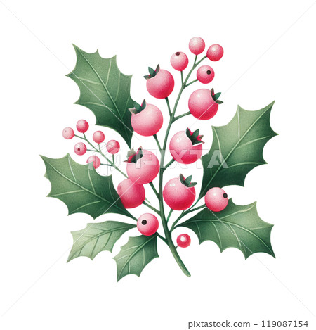 Beautiful holly branch illustration with vibrant green leaves and pink berries, perfect for holiday decor ideas. 119087154