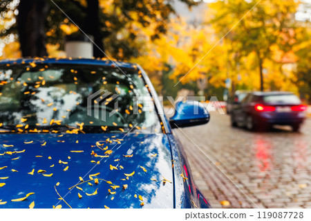 Moody scenic view modern blue car windshield covered golden yellow fallen leaves parked wet city street on autumn rainy day. Overcast sky rain  road drive. Seasonal weather conditions 119087728