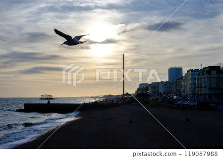 Brighton seaside with the silhouette of a flying seagull in the foreground at dusk in Sussex, UK 119087988