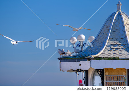 Sea gulls overflying or seating on a dome on Palace Pier in Brighton, UK 119088005