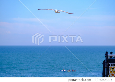 A Sea gull overfllies Palace Pier in Brighton, UK 119088007