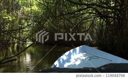 Boat trip on tropical river. Action. Beautiful hiking trip along river in tropical jungle. River boat trip in tropical area on sunny summer day 119088706