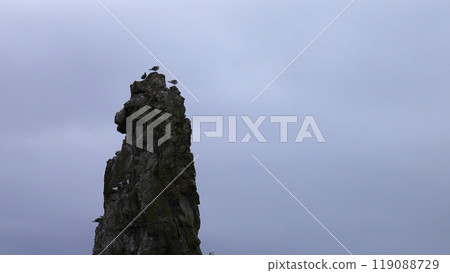 Top of long cliff with seagulls. Clip. Seagulls sit on top of cliff on background cloudy sky. Seagulls fly and sit on small rock in sea in cloudy weather Top of long cliff with seagulls. Clip. Seagulls sit on top of cliff on background cloudy sky. Seagulls fly and sit on small rock in sea in cloudy weather 119088729