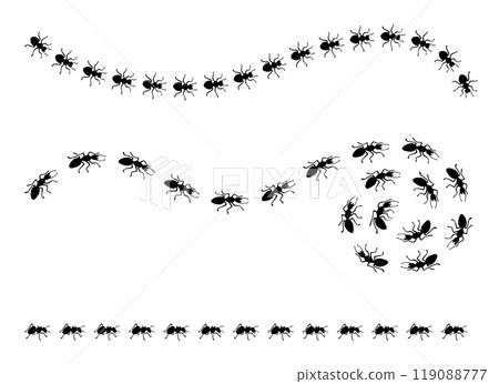Black ants roads. Ant trails and paths, top view. Insects marching one after another, working together. Line and curve routes, neoteric vector scene 119088777