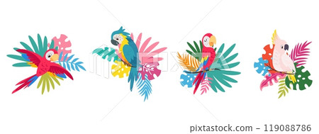 Exotic parrots. Plants and tropical birds, vibrant parrots and different leaves. Brazil australian animals. Bird stickers design, nowaday vector set 119088786
