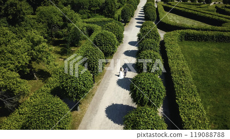 Beautiful newlyweds in palace garden. Creative. Top view of newlyweds in beautiful garden. Newlyweds' wedding walk in garden on sunny summer day 119088788