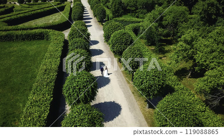 Beautiful couple of newlyweds walking in palace garden. Creative. Top view of newlyweds walking along alley in park. Palace Park with geometric paths and walking newlyweds 119088865