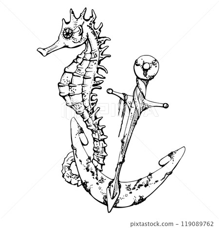 Seahorse with anchor, Marine life, sea ocean underwater creatures animal, Ink and pen sketch hand drawn. Composition illustration, stylized, isolated on white. Zoo shop, aquarium, cosmetics, resort Seahorse with anchor, Marine life, sea ocean underwater creatures animal, Ink and pen sketch hand drawn. Composition illustration, stylized, isolated on white. Zoo shop, aquarium, cosmetics, resort 119089762