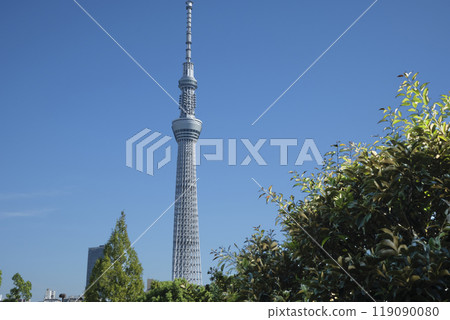 Tokyo Skytree as seen from Matsuchiyama Shoden Hill Tokyo Skytree as seen from Matsuchiyama Shoden Hill 119090080