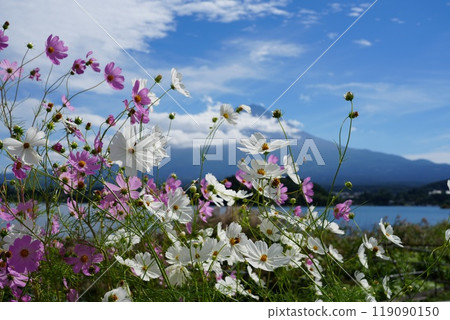 大石公園，面向河口湖畔的公園 119090150