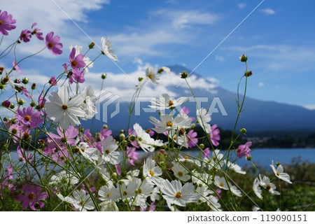 大石公園，面向河口湖畔的公園 119090151