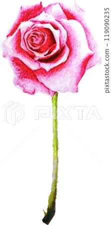 粉紅色的玫瑰花 粉紅色的玫瑰花 119090235