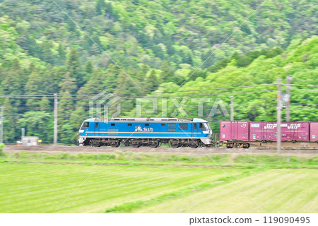[Tokaido Main Line JR Freight EF210 electric locomotive] Photographed at: Kiyotaki, Maibara City, Shiga Prefecture 119090495