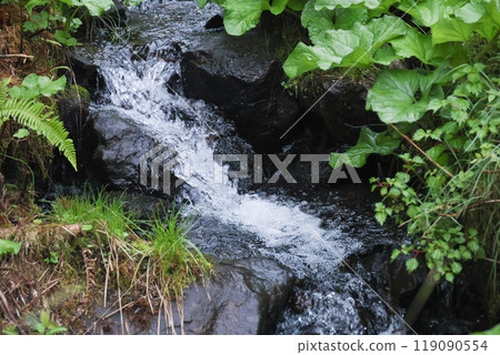 Clear stream dark 119090554