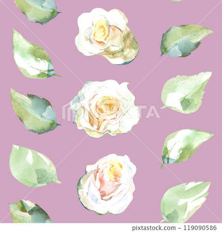Seamless pattern of white roses with green leaves in collection garden flowers. Watercolor illustration in tape, ribbon, stripe for floral design of fabrics, towel, textile, weaving, wallpaper 119090586