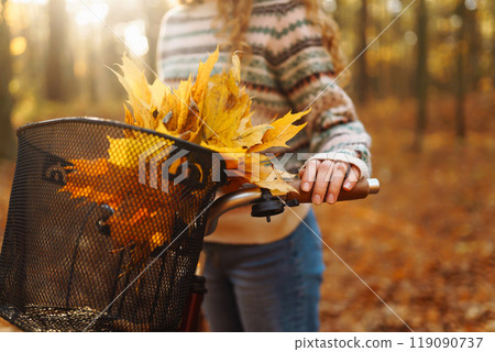 Autumn bouquet of yellow and orange leaves lying in a bicycle basket in a sunny autumn park. 119090737