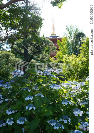 Takahatasan Myooin Kongo-ji Temple Takahata Fudoson 119090865