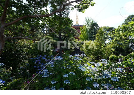 高畠山明院金剛寺高畠不動尊 高畠山明院金剛寺高畠不動尊 119090867