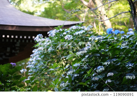 Takahatasan Myooin Kongo-ji Temple Takahata Fudoson 119090891
