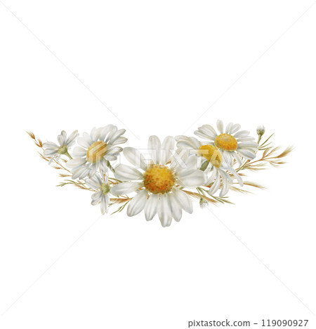 Corner frame element from white daisies flowers buds,dried flowers as a symbol of purity, innocence, love, fidelity. Watercolor clipart on transparent background for product design,postcards, calendar Corner frame element from white daisies flowers buds,dried flowers as a symbol of purity, innocence, love, fidelity. Watercolor clipart on transparent background for product design,postcards, calendar 119090927