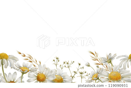 Seamless floral border of chamomiles,buds,stems,daisy petals,dried flowers,feverweed on white background in vertical wave direction in soft warm colors for textile, stationery,fashion industry Seamless floral border of chamomiles,buds,stems,daisy petals,dried flowers,feverweed on white background in vertical wave direction in soft warm colors for textile, stationery,fashion industry 119090931