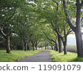 一條安靜的小徑 119091079