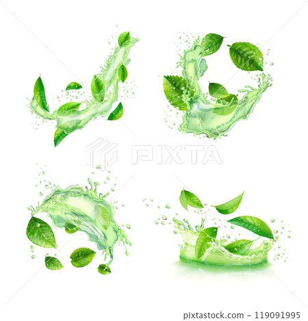 Green tea splashes. Herbal water splash with mint leaves fresh drink, herb extract liquid splatter menthol peppermint leaf refreshing aqua flow, realistic exact vector illustration Green tea splashes. Herbal water splash with mint leaves fresh drink, herb extract liquid splatter menthol peppermint leaf refreshing aqua flow, realistic exact vector illustration 119091995